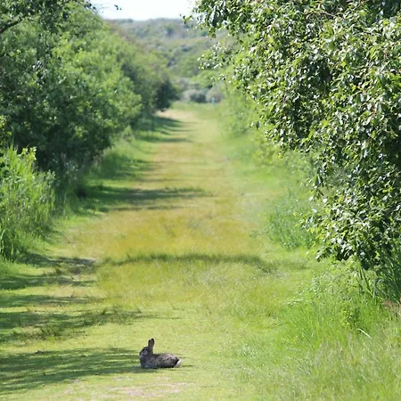 Seevilla Wietjes Whg 7 Baltrum