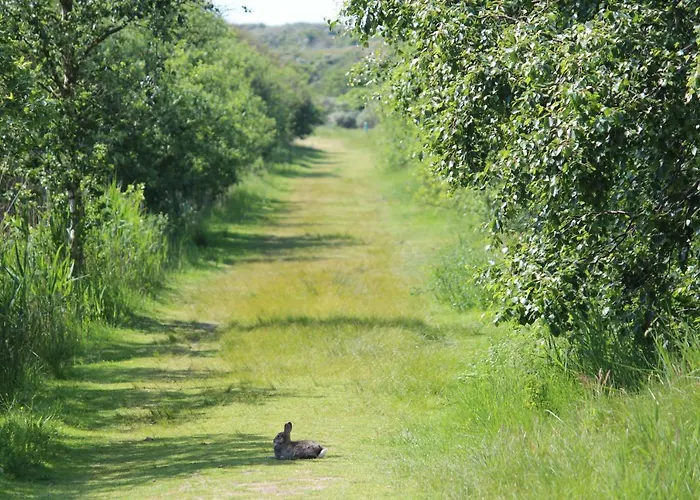 Seevilla Wietjes Whg 7 Baltrum