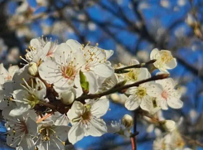 Apartament Seevilla Wietjes Whg 7