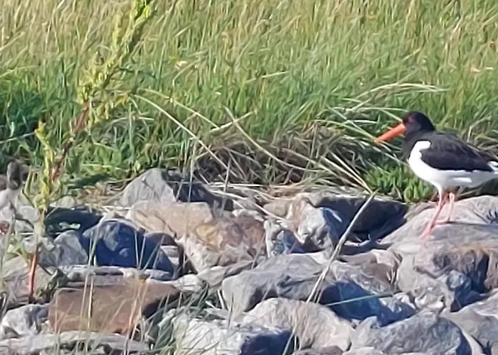 Seevilla Wietjes Whg 7 *