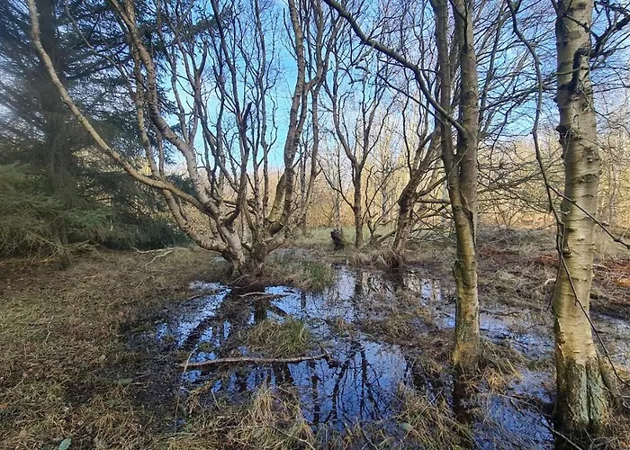 Seevilla Wietjes Whg 7